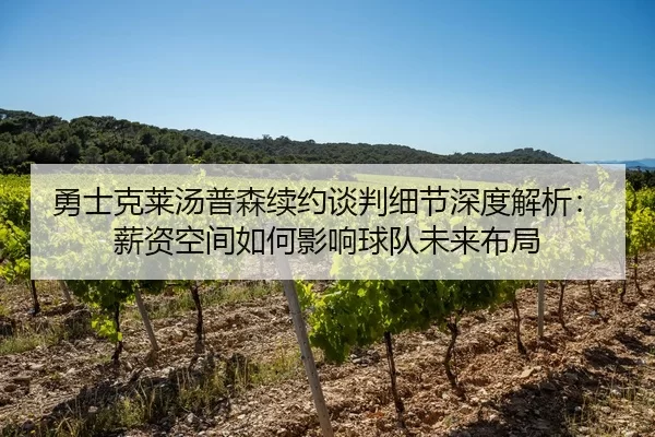 勇士克莱汤普森续约谈判细节深度解析：薪资空间如何影响球队未来布局