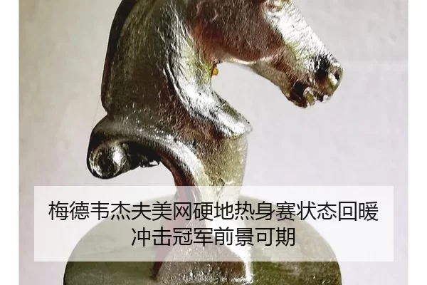 mei-de-wei-jie-fu-mei-wang-ying-di-re-shen-sai-zhuang-tai-hui-nuan-chong-ji-guan-jun-qian-jing-ke-qi-3-913.jpg
