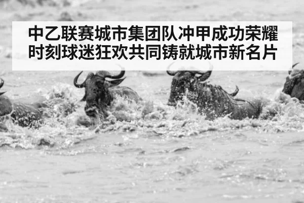 中乙联赛城市集团队冲甲成功荣耀时刻球迷狂欢共同铸就城市新名片